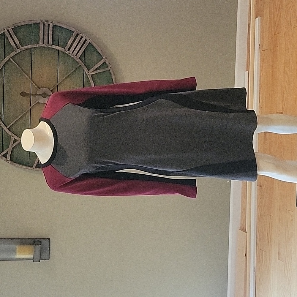 View by Walter Baker long sleeve colorblock dress